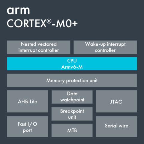 Diagram of M0+ processor